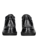 Nero Giardini Pumps in Schwarz