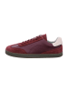 Groundies Sneaker Low in Rot