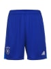 adidas Performance Trainingsshorts DFB WM 2022 in blau / gelb