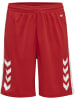 Hummel Hummel Kurze Hose Hmlcore Basketball Kinder Schnelltrocknend in TRUE RED