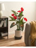 Beliani Kunstpflanze ANTHURIUM in Grün/Rot - (W) 63 x (H) 95 x (L) 63 cm