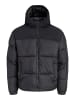 JACK & JONES PLUS Steppjacke in Black