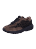 Paul Green Schnürschuh in Leopard-Muster