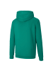 Puma Sweatshirt teamGOAL 23 Casuals Hoody in grün