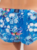HOM Badehose Swim Micro Briefs Colibris in blue print