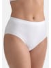 SPEIDEL Jazz Pants Everyday in Beige / weiß