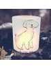 Mr. & Mrs. Panda Balkon Windlicht Bichon Frisé Moment ohne Spruch in Transparent