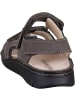 Finn Comfort Komfort Sandalen für Herren in dunkel-braun