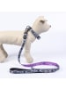Disney Disney Villanas Hundehalsband  M / L - Verstellbar, robust & bequem in Blau
