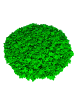 LEGO 1x1 Blume mit drei Blättern - ab 3 Jahren in light-green