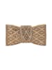 usha BLACK LABEL Women Clutch in Gold