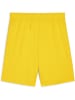 Puma Sporthose "TeamGoal Shorts" in Gelb