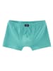 H.I.S Boxer in blau