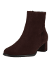 HASSIA Stiefelette in Chocolate