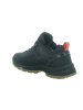Icepeak Wander- & Bergschuhe in Grau