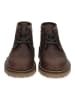 Camel Active Stiefelette in Cafe