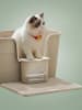 Feandrea Katzentoilette Boxal in Cappuccinobeige - (B)76 x (H)33 x (T)64 cm