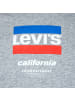 Levi´s Shirt in Grau