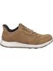 Josef Seibel Sneaker Clint 03 in braun