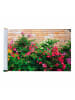 Maximex Balkon-Sichtschutz, 5 m, Balkon-Sichtschutz Mauer-Blumen, 5 m, Balkon-Sichtschutz Mod. Mauerblumen, 5 m in Mehrfarbig