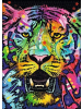 HEYE Wild Tiger Puzzle 1000 Teile