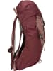 Deuter Wanderrucksack AC Lite 14 SL in Ashrose/Cassis