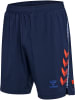 Hummel Hummel Kurze Hose Hmlpro Multisport Herren Feuchtigkeitsabsorbierenden in MARITIME BLUE