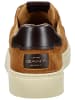 GANT Footwear Sneaker in Walnut