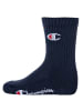 Champion Socken 6er Pack in Blau/Weiß/Grau