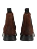 Pavement Stiefelette ESMARA SUEDE in Braun