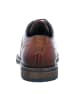 Bugatti Business Schnürschuhe in Braun
