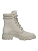 Timberland Stiefelette in Cashmere