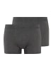 Hanro Panty Cotton Essentials in coal melange