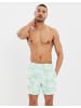 Threadbare Badehose THB Swim Short Sunset in Grün