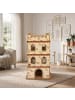 relaxdays Katzenburg in Braun - (B)62 x (H)107,5 x (T)62 cm