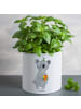 Mr. & Mrs. Panda XL Blumentopf Koala Geschenk ohne Spruch in Weiß