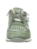 Cetti Sneaker Low in grün