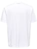 Hummel Hummel Polo Hmlred Multisport Herren in WHITE