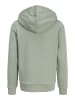JACK & JONES Junior Kapuzensweatshirt JJELOGO SWEAT HOOD JNR in iceberg green