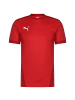 Puma Fußballtrikot teamGoal 23 in rot / dunkelrot