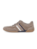 Gabor Sneaker low in beige