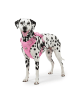 Reichstadt Reichstadt  Hundegeschirr  25RSP083 Pink L