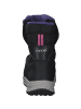 Geox Stiefeletten in black/fuchsia