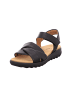 Gabor Riemchensandalen in schwarz