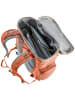 Deuter Rucksack Scula in Chestnut/Blush