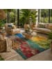 Pergamon In- & Outdoor Teppich Florida in bunt