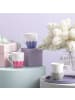 Villeroy & Boch Henkelbecher Fleur Couleur in 290 ml in Bleu