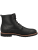PANAMA JACK Schnürboots Glasgow Igloo in schwarz
