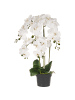 Beliani Kunstpflanze ORCHID in Grün/Weiß - (W) 28 x (H) 63 x (L) 28 cm