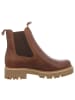 Tamaris Stiefelette in braun